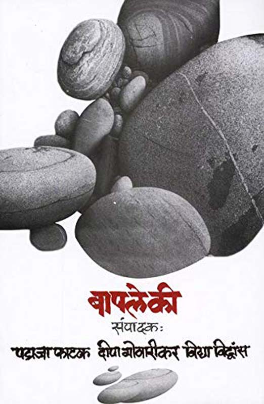 Baapleki (बापलेकी)