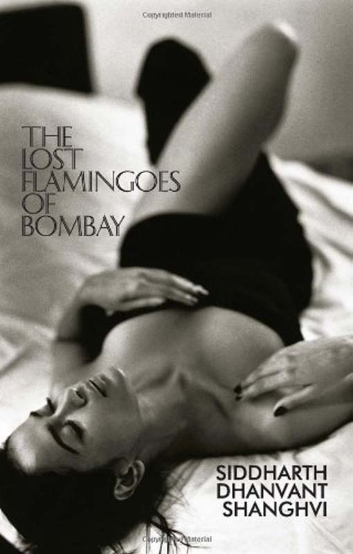 The Lost flamingoes Of Bombay