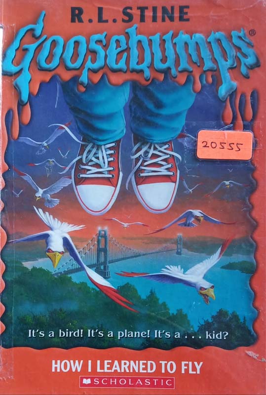 Goosebumps : How I Learned To Fly