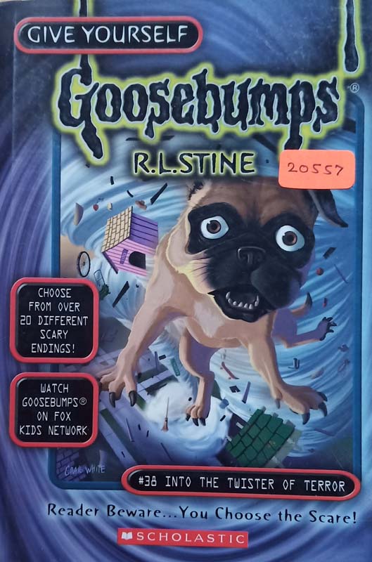 Goosebumps : #38 Into The Twister Of Terror