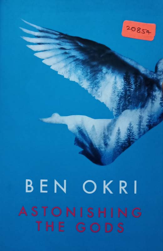 Astonishing The Gods