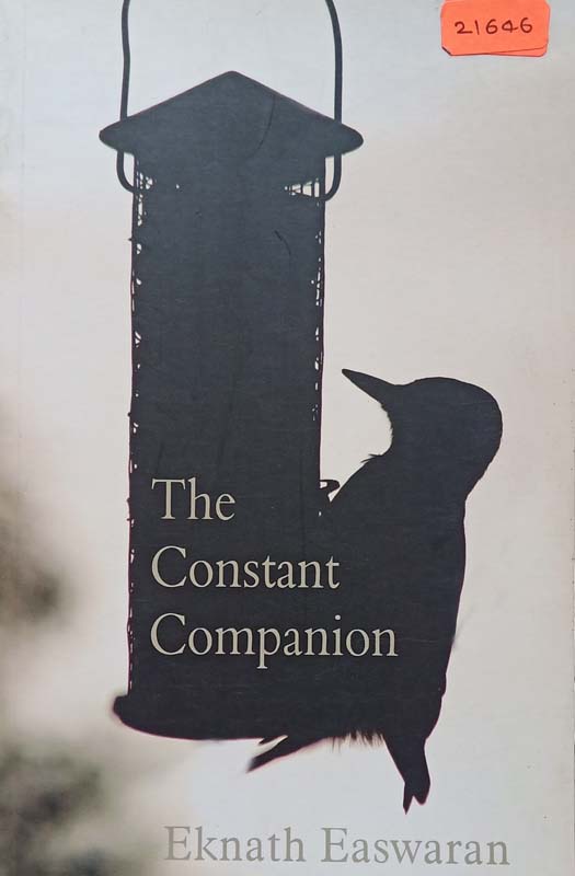 The Constant Companion