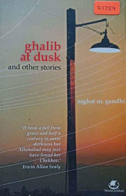 Ghalib At Dusk And Other Stories