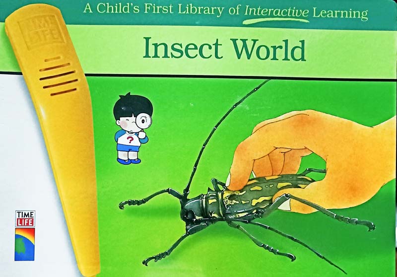Insect World