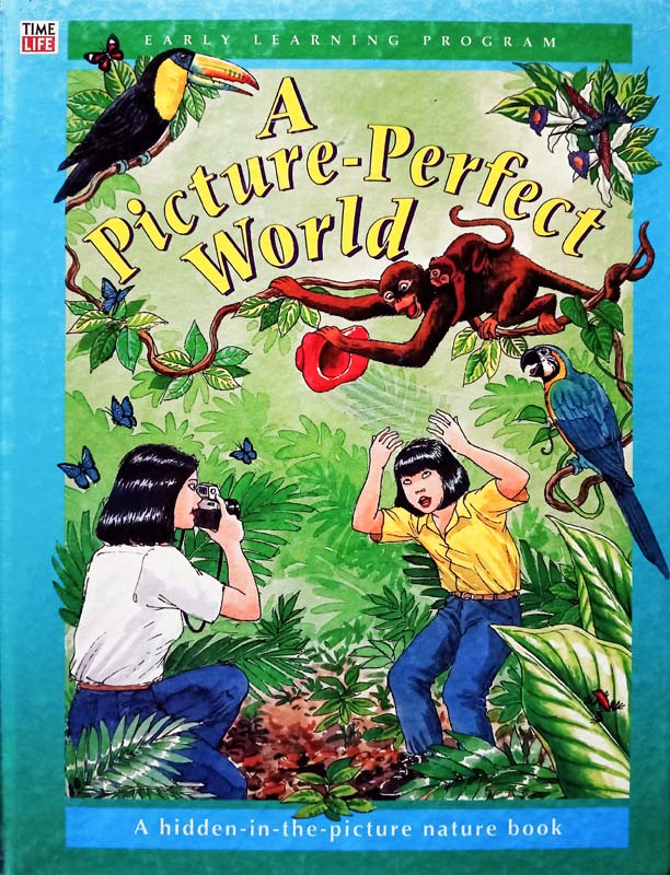 A Picture-Perfect World 