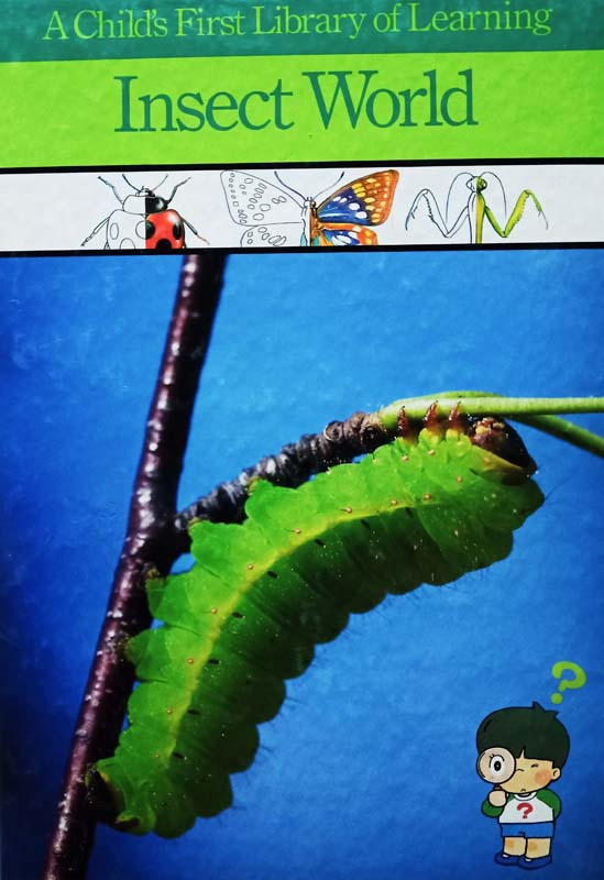 Insect World