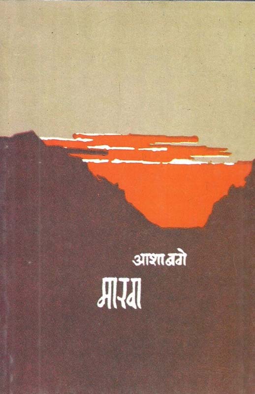 Harry Potter Ani Phoenix Sena (हॅरी पॉटर आणि फिनिक्स सेना)