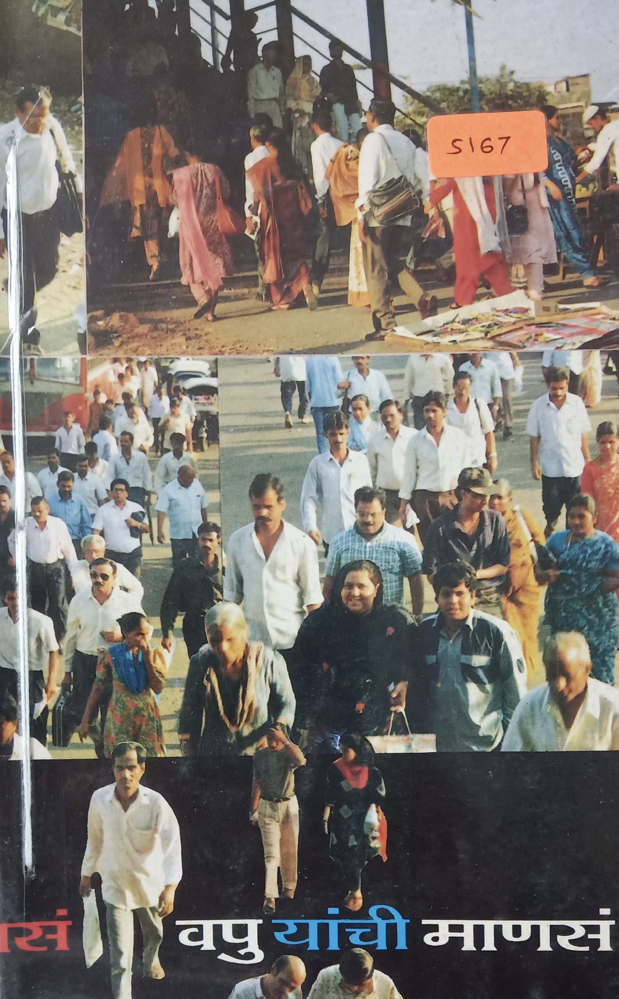 A To Z Mysteries : The Falcon's Feathers