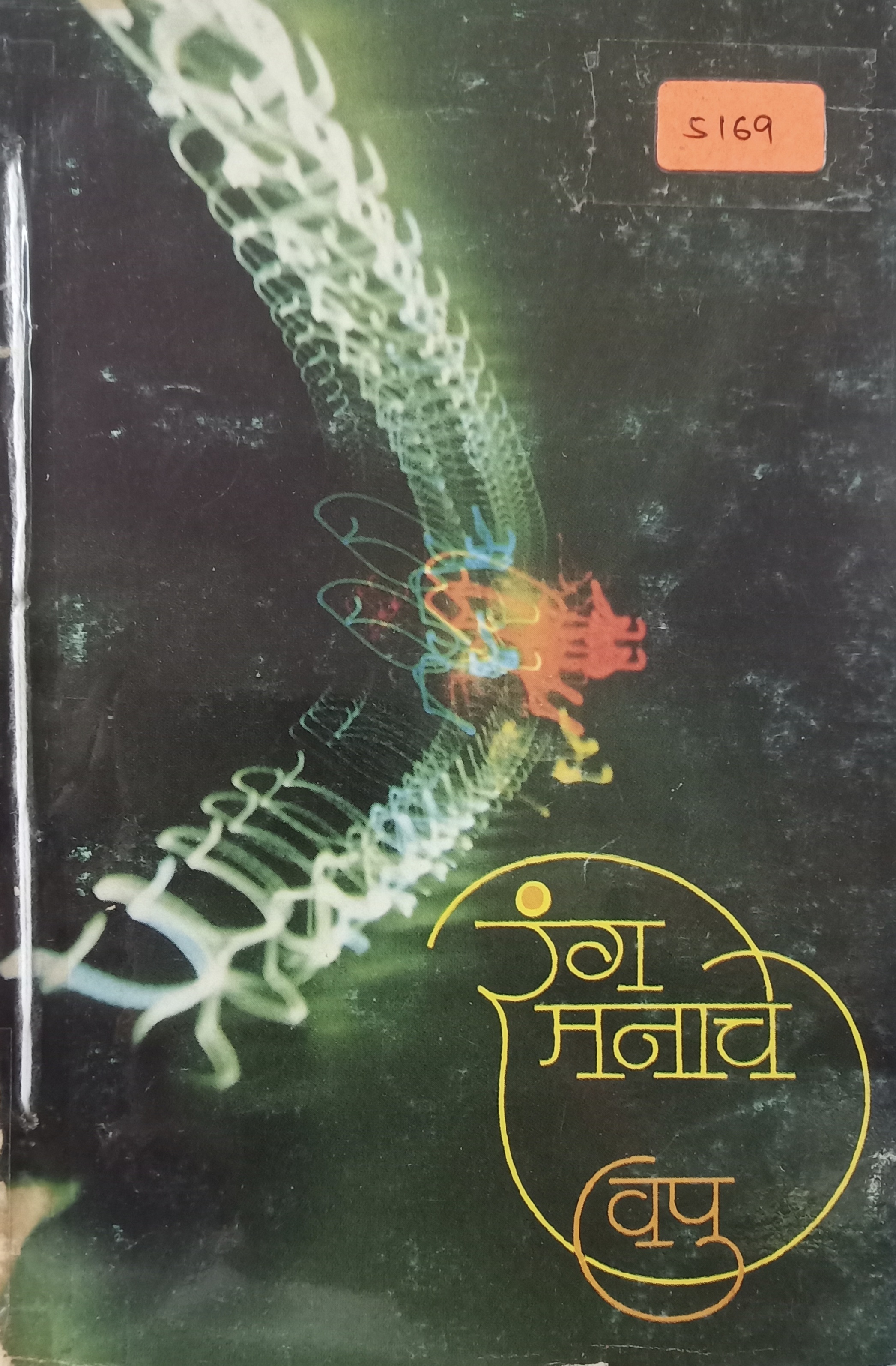 Rang Manache ( रंग मनाचे )