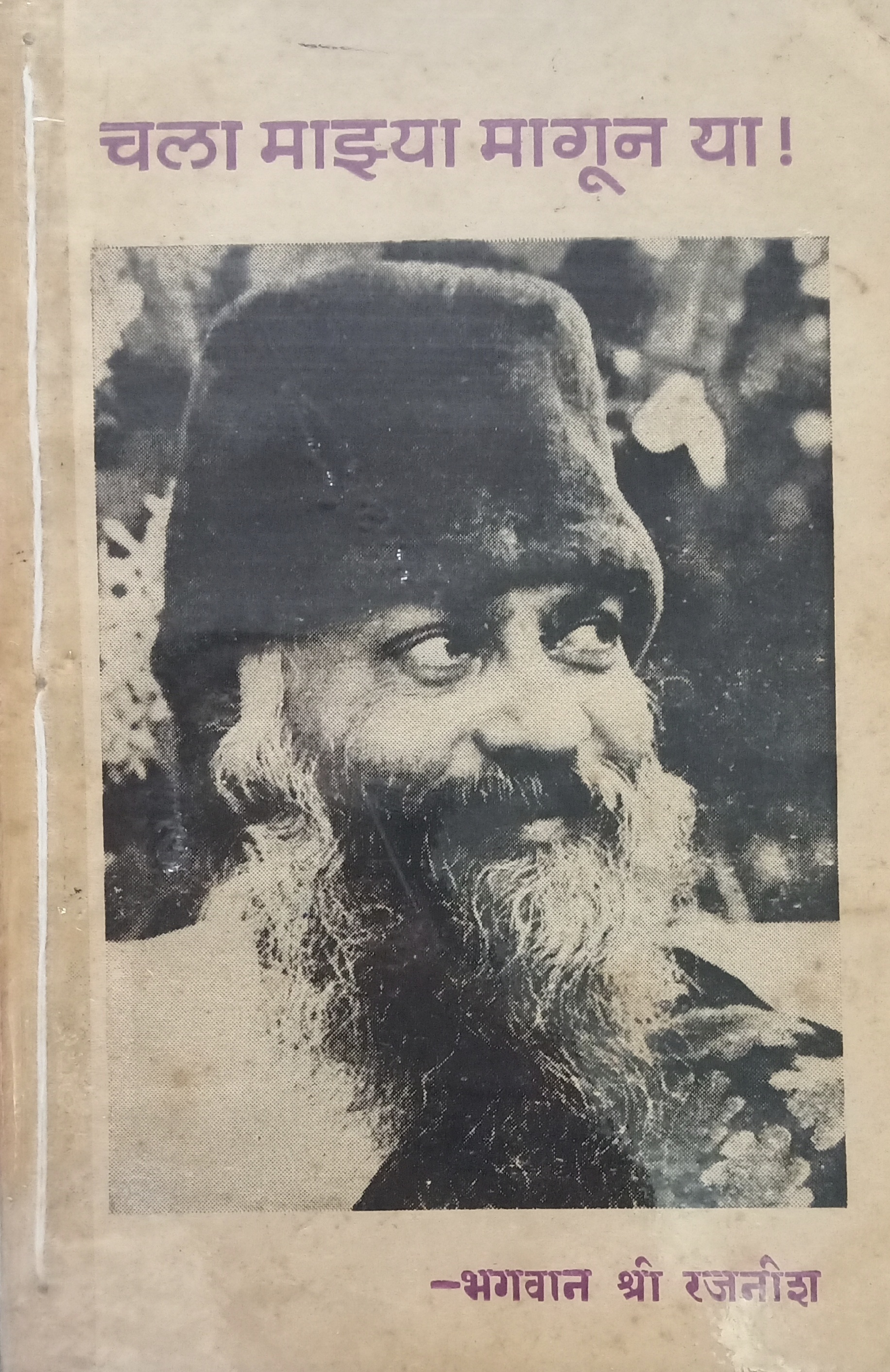 Geronimo Stilton : Geronimo's Valentine