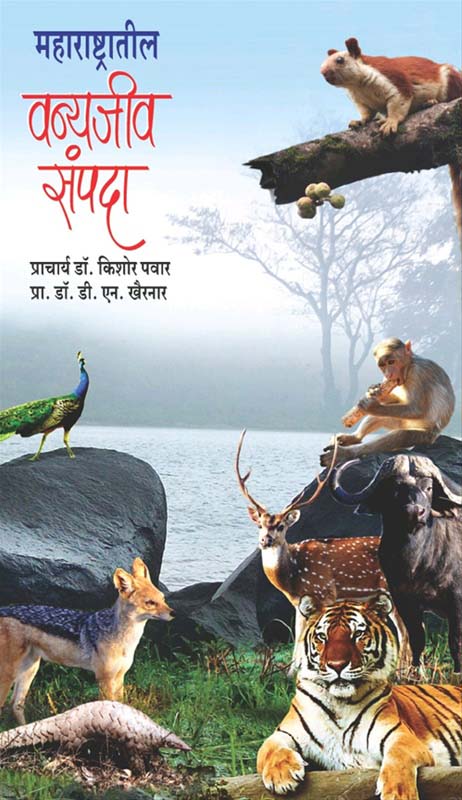 Second Lady (सेकंड लेडी)